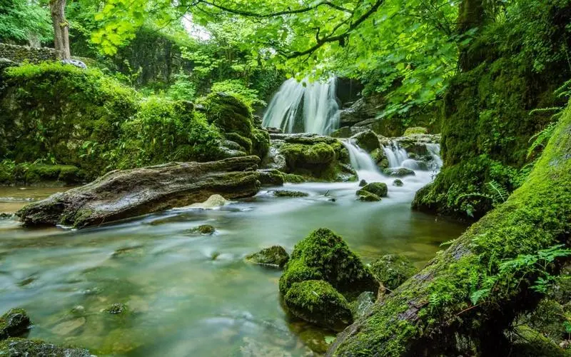 高端全自动高性能